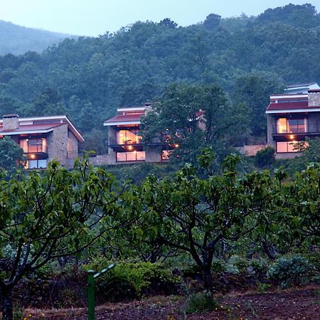 Las Casas De Agapito Poyales Del Hoyo Exteriér fotografie